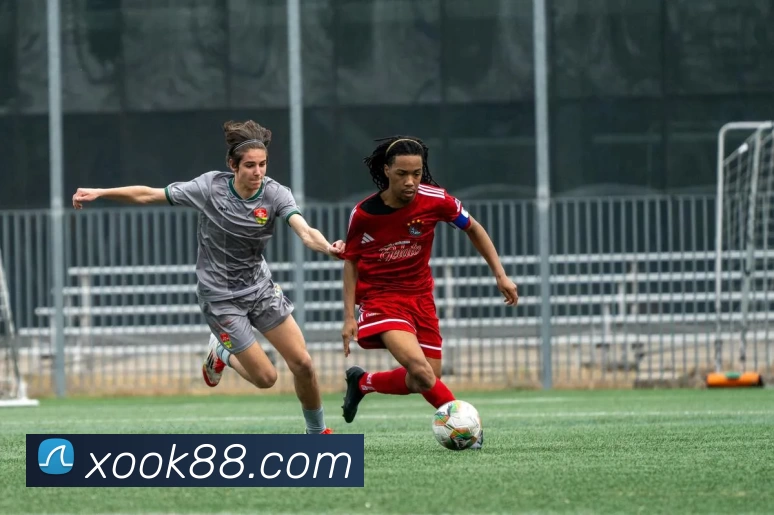 星欧娱乐官网平台生态图