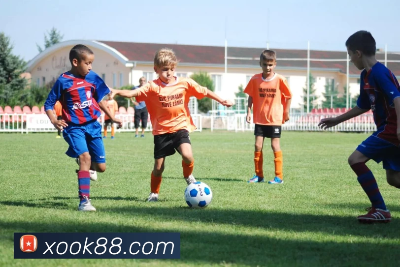 星欧娱乐官网APP 封面图