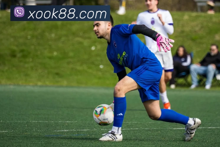 数据防护可视化